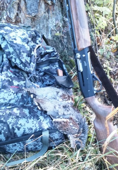 WhatsApp Image 2018-09-16 at 03.58.41.jpg