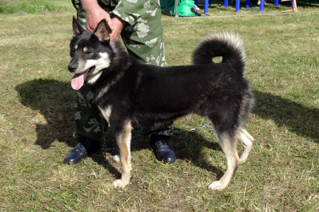 Байкал, Кипа 416.JPG