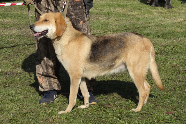 затейка шалаев5369.JPG