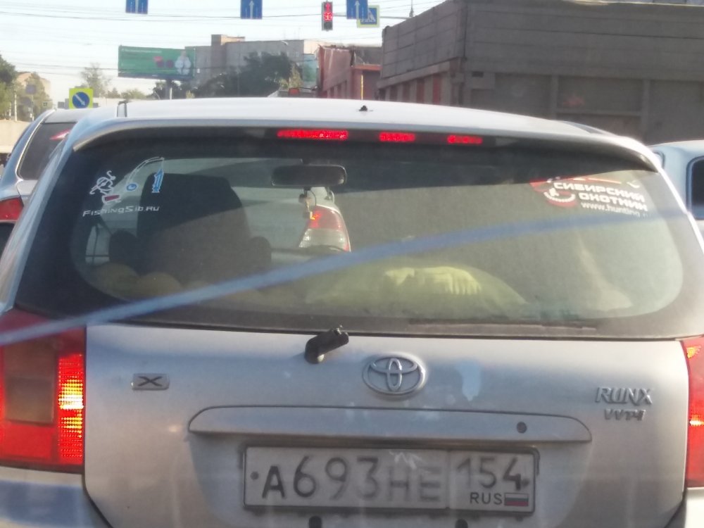 20180918_100550.jpg
