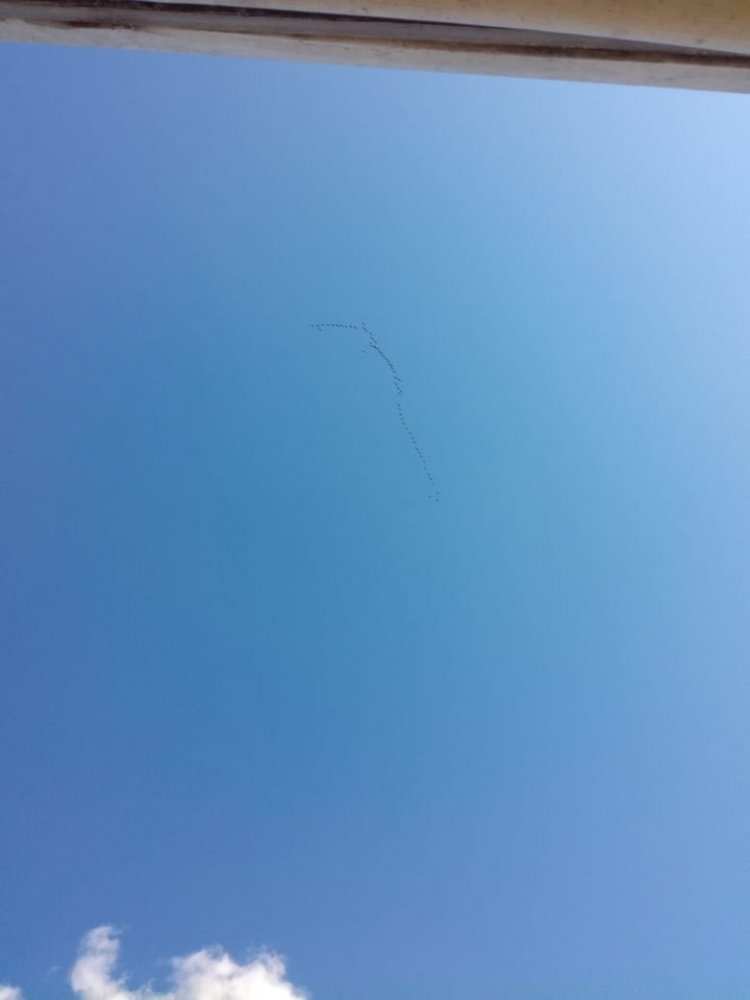 IMG-20180918-WA0009.jpg