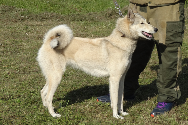 лада занозин347.JPG