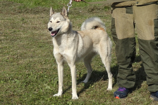 лада занозин5346.JPG