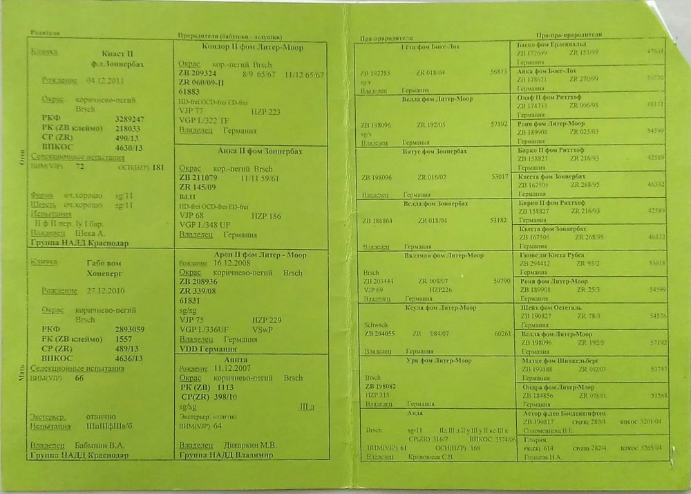 scanner_20170724_151136 - с эффектами.JPG