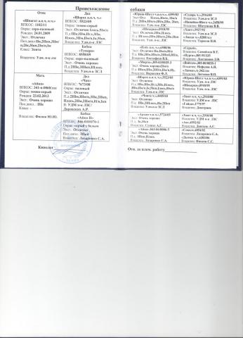 родословная Тунгус.jpg