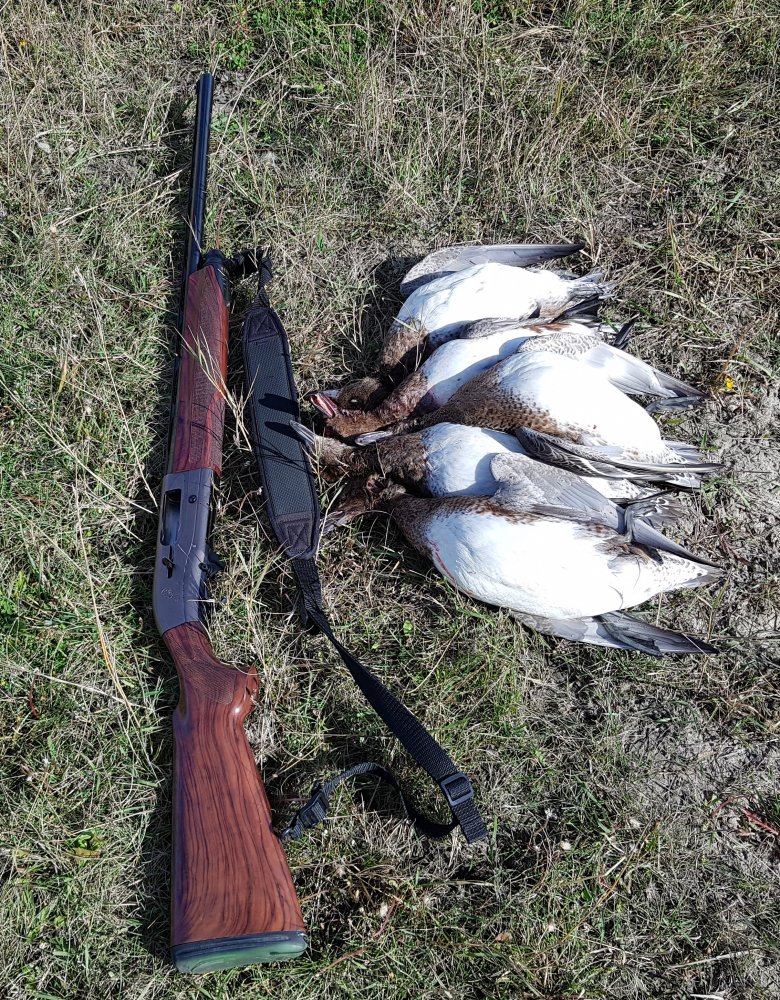 ducks_2018.jpg