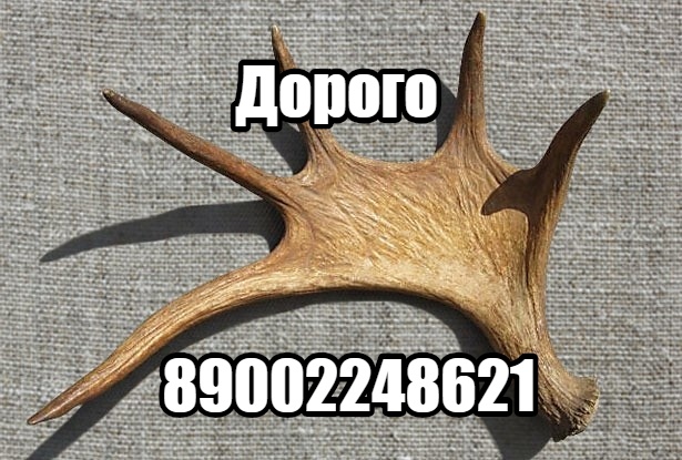 ypTlmLYiz6Q.jpg