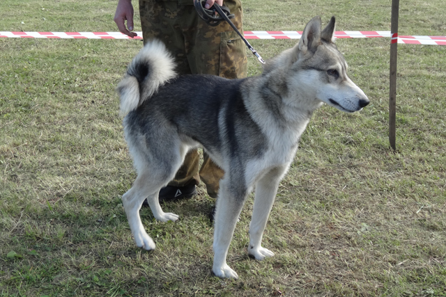 Амур Кондратьев5381.JPG