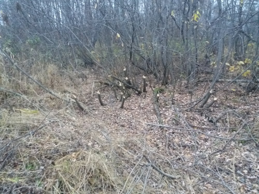 20181008_184310.jpg