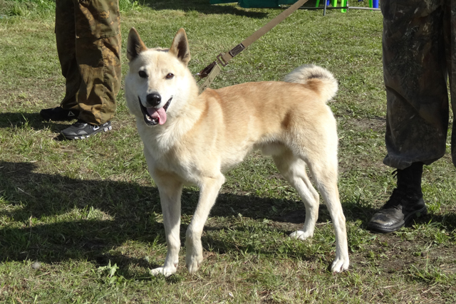 Азарт Овсянников5406.JPG