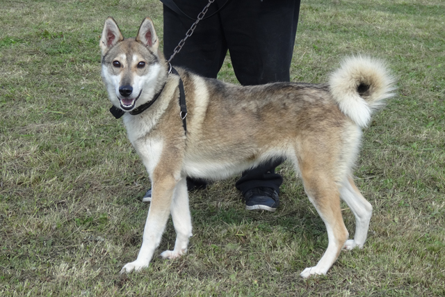 чуя тумашовC05411.JPG