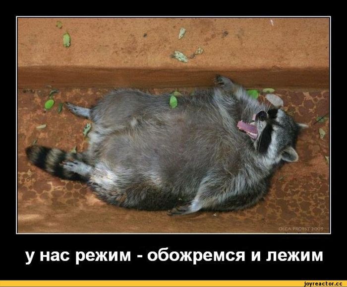 еннннн.jpg