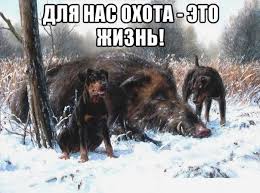 м3.jpg