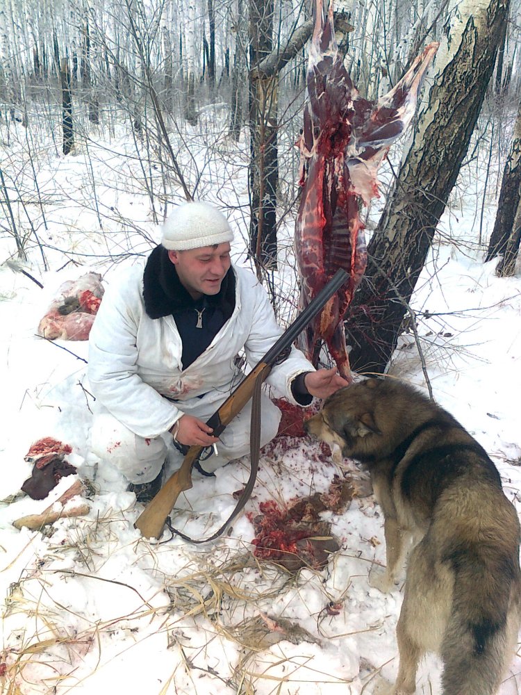 косуля.jpg