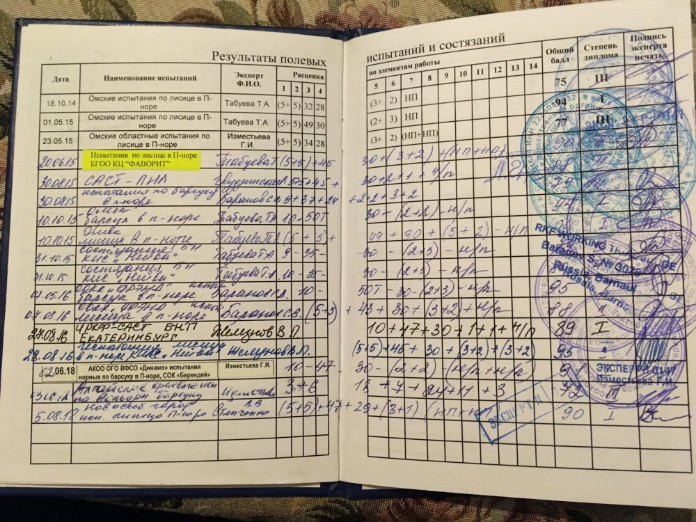 Дипломы Юна 02.JPG