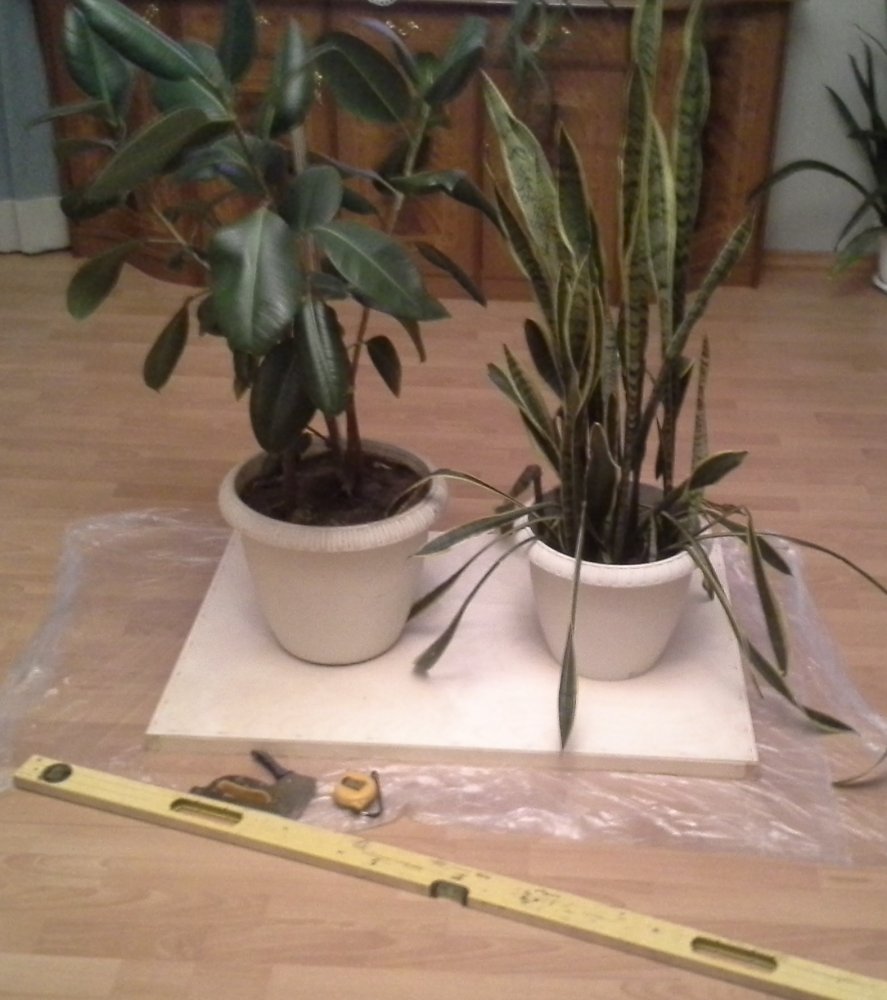20120301_100319.jpg