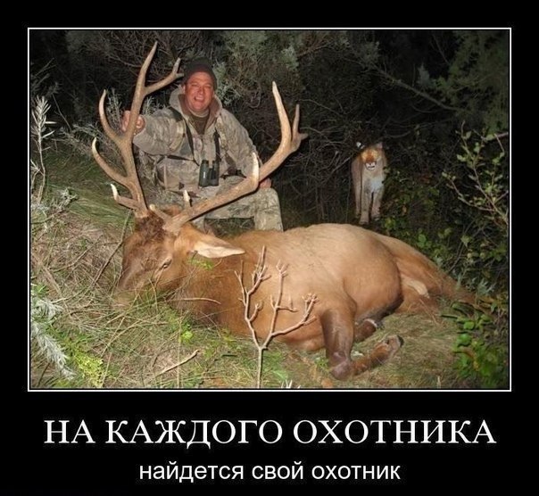 UdhEgORRoZA.jpg