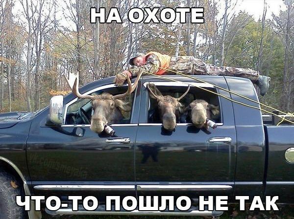 na-okhote-chto-to-poshlo-ne-tak-open.jpg