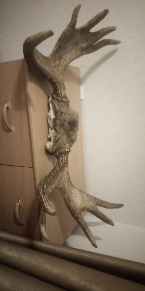 IMG-20181208-WA0008.jpeg