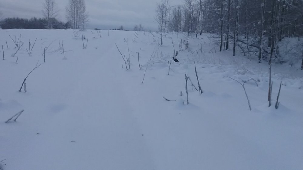 Screenshot_20181124-221122.jpg