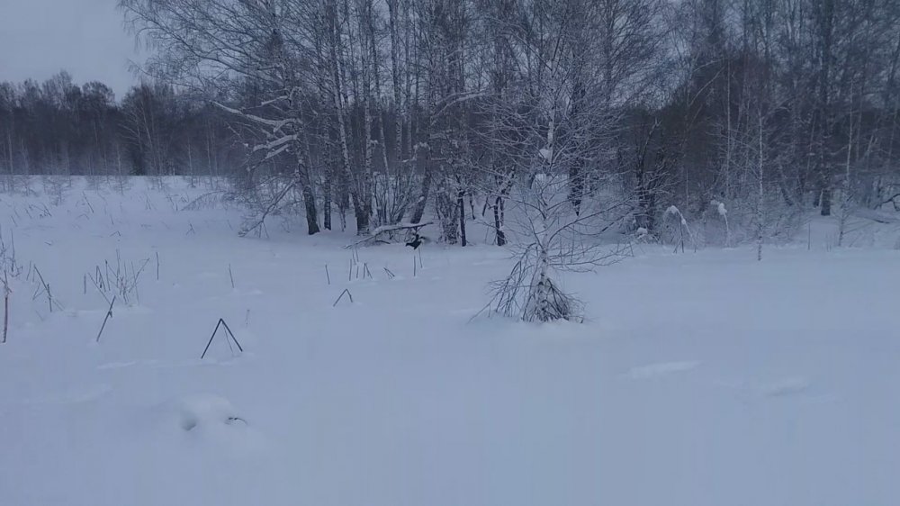 Screenshot_20181124-222510.jpg