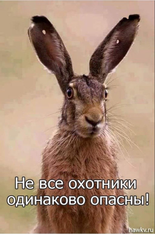KRxL_UkNJjs.jpg