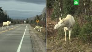 л5.jpg