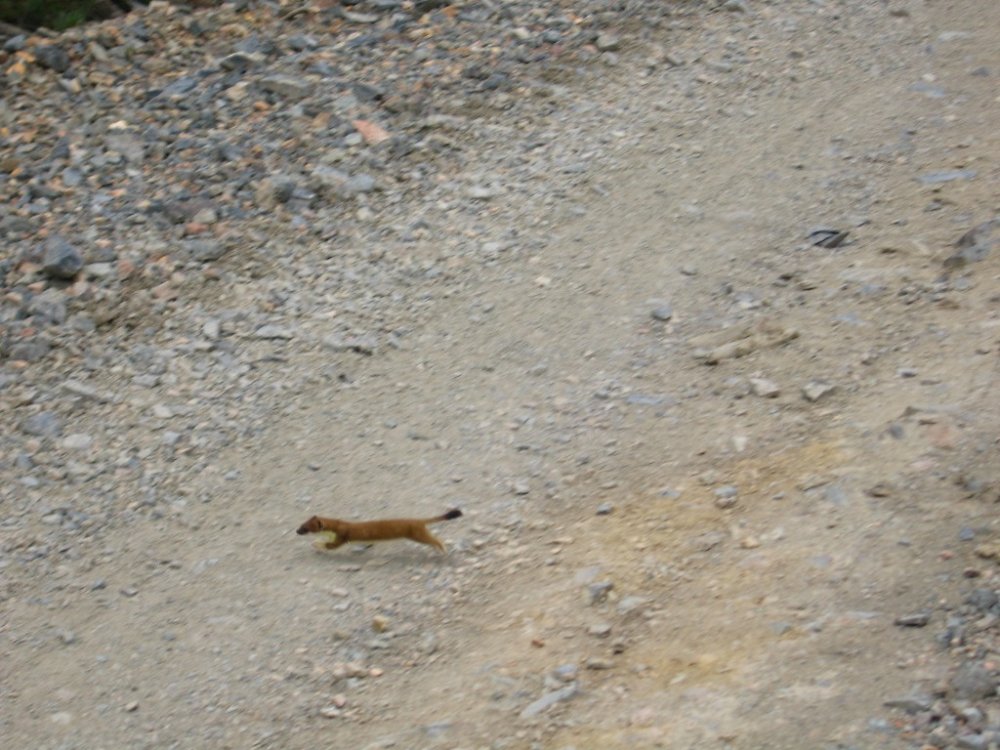 IMG_0135.jpg