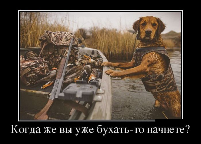 1444793143_demotivatory_01.jpg