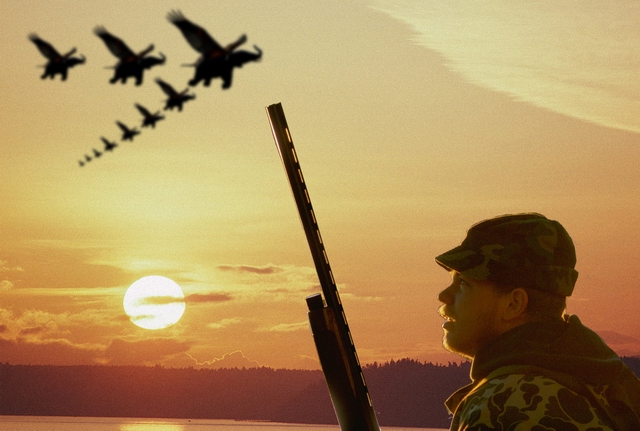 aviasafari.jpg
