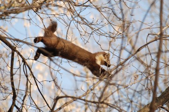 post-2128-069724300 1292486745_thumb.jpg