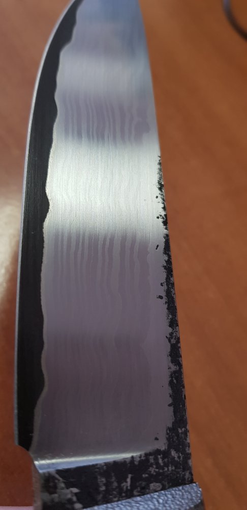 20190122_133833.jpg