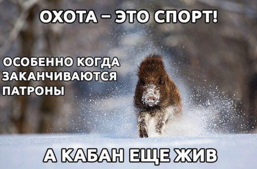 IMG-20190127-WA0006.jpg