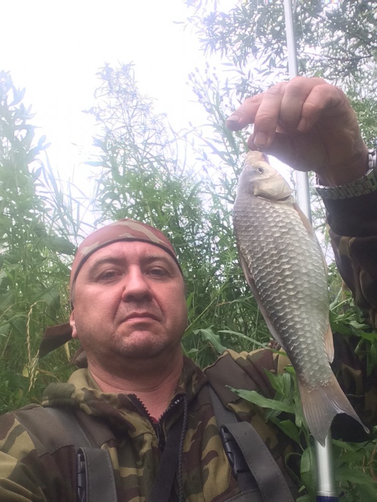 Карась.JPG