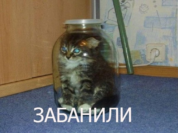 opngete7uui.jpg