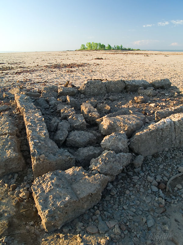 100_7118.jpg