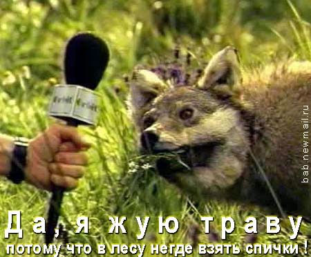 жует.jpg