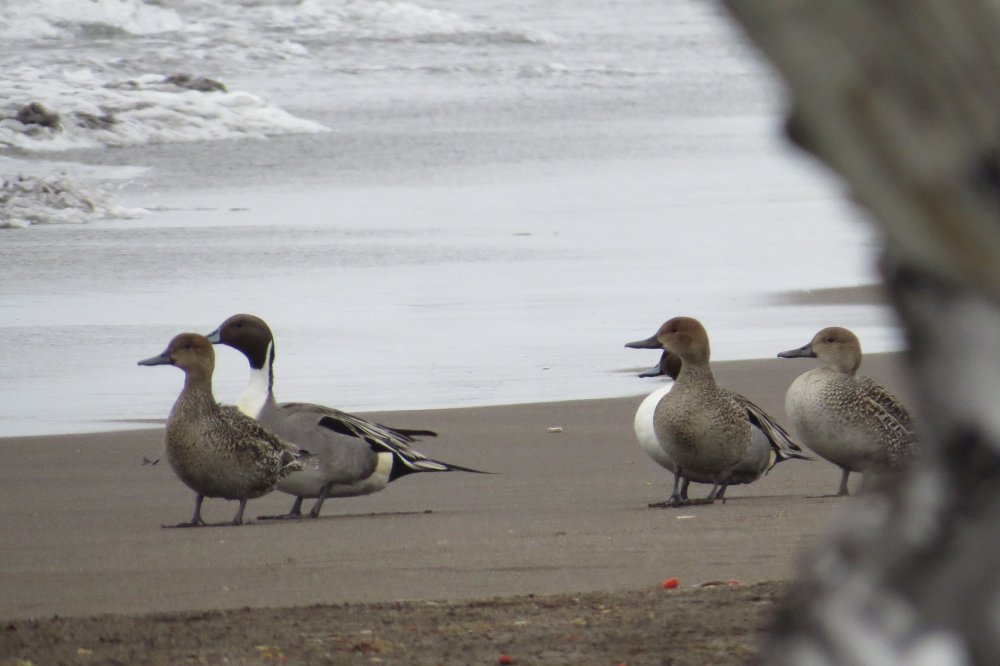 4 февраля 19г. 081.jpg