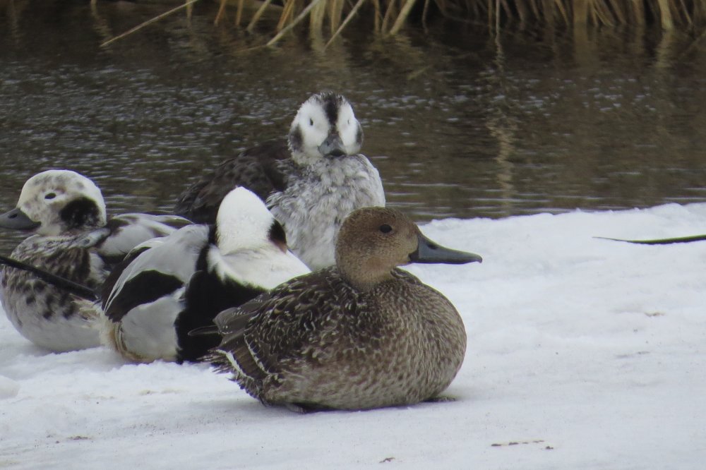 4 февраля 19г. 078.jpg