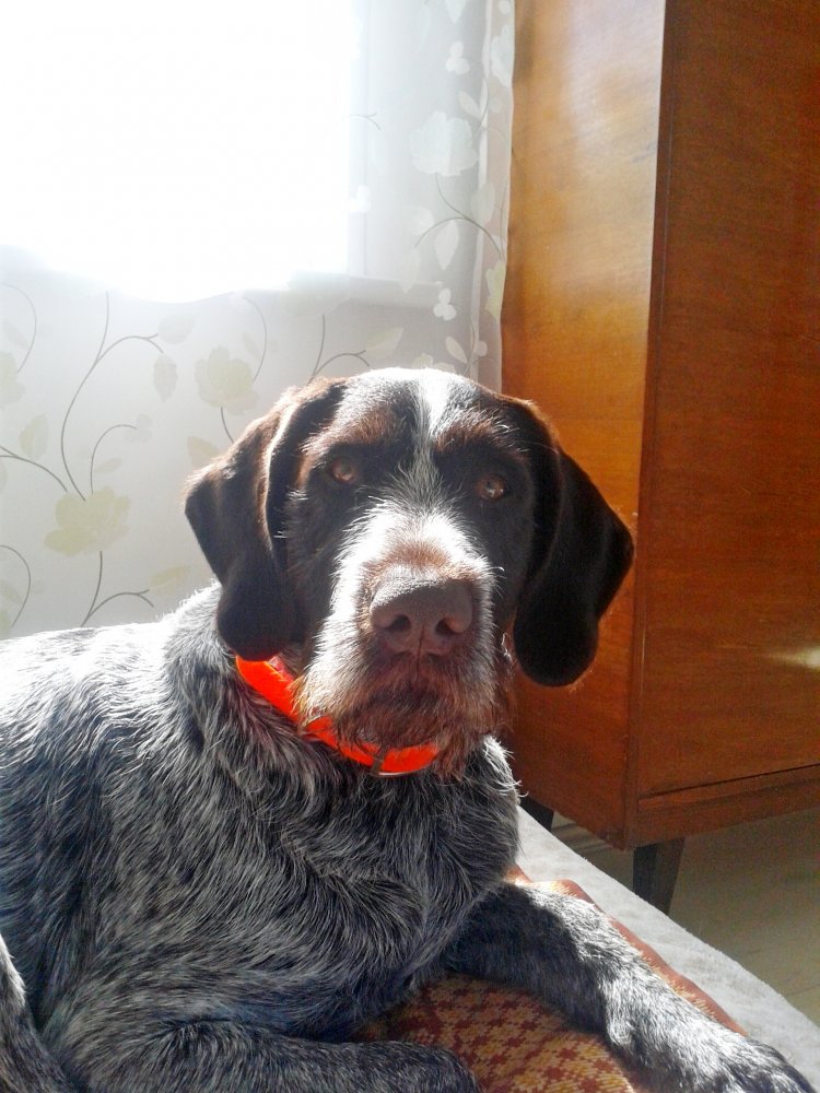 портрет ред.jpg