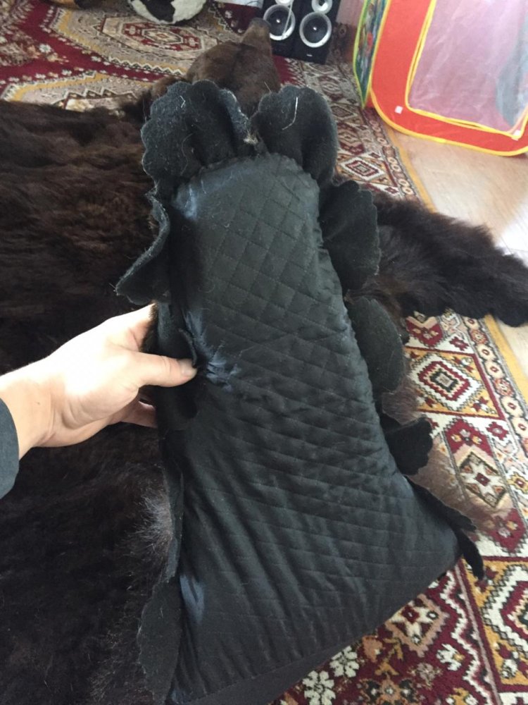 image1.jpeg