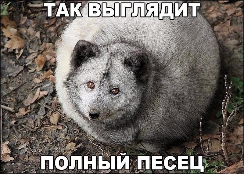 IMG_20190206_153838.jpg