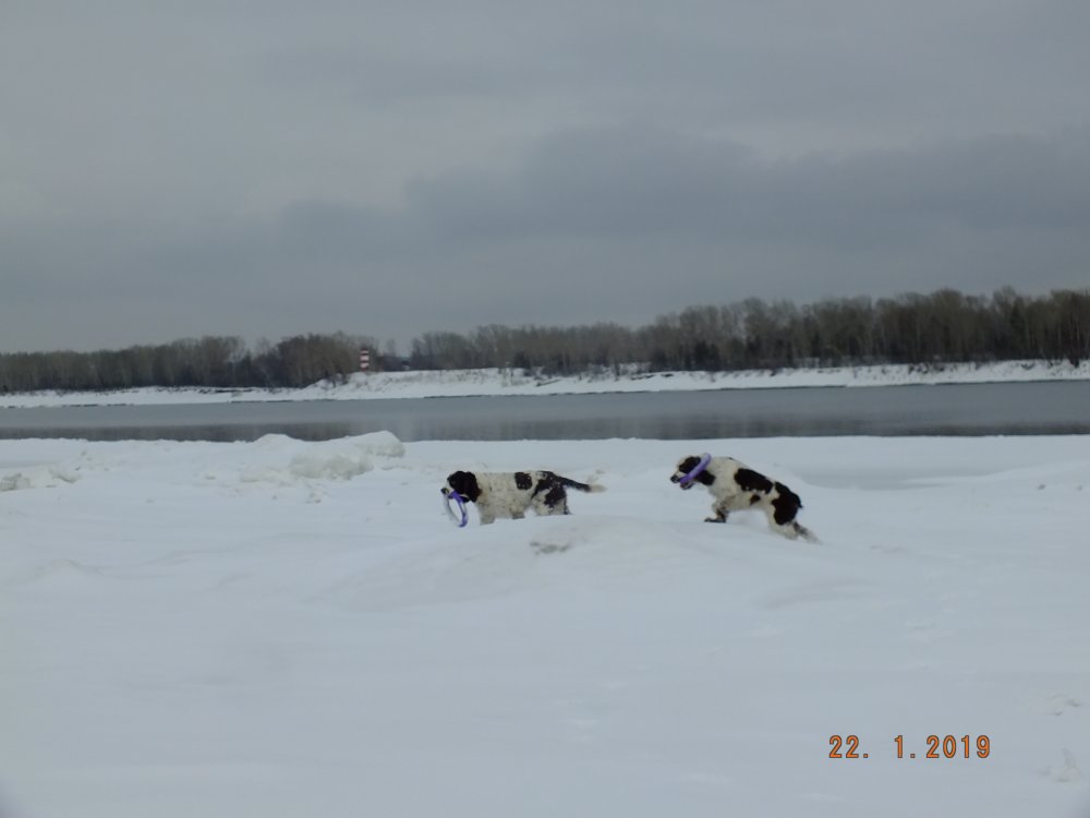 DSCF1687.JPG