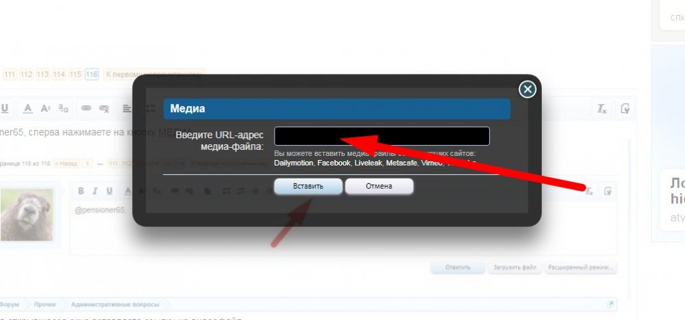 Screenshot_10.jpg