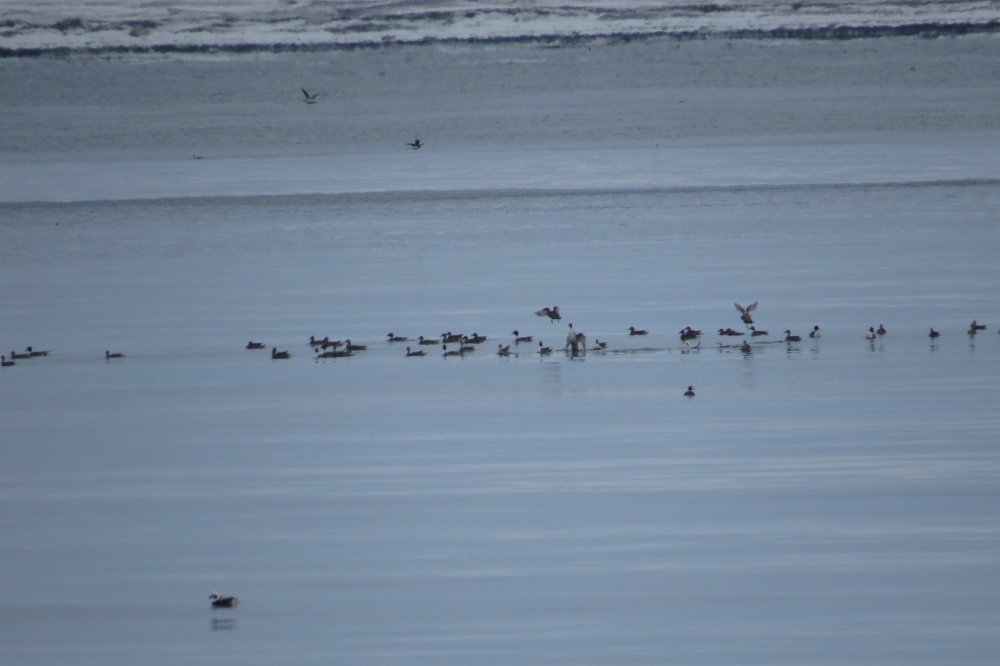 13 Февраля 19г. 017.jpg