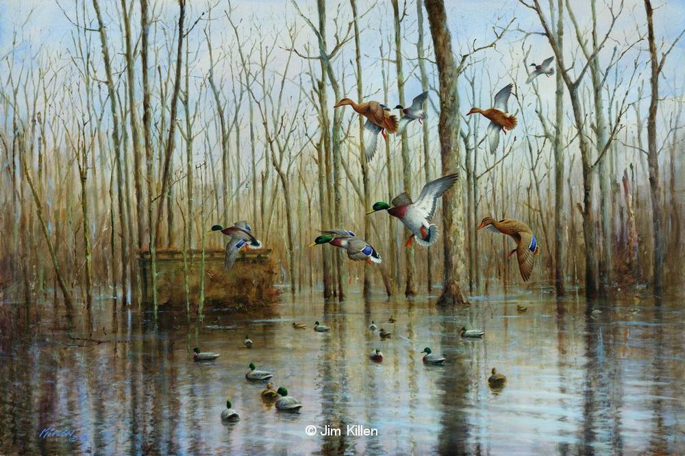 Mallard-Hole.jpg