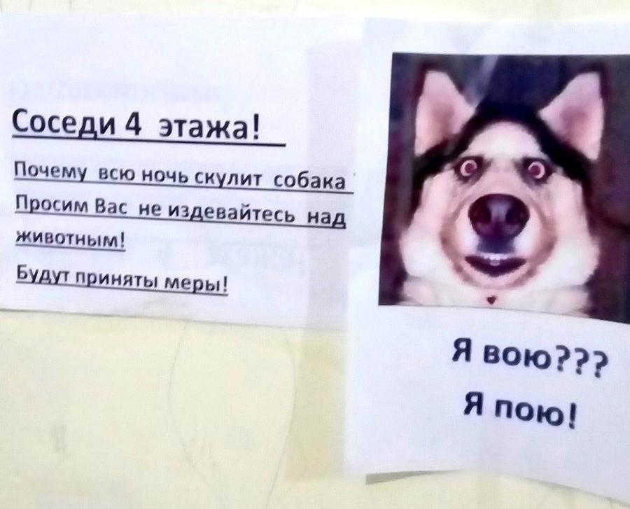 1519612681_035.jpg