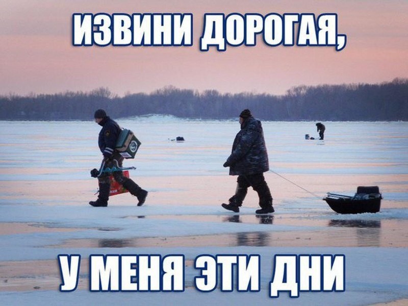 IMG_20190222_084954.jpg