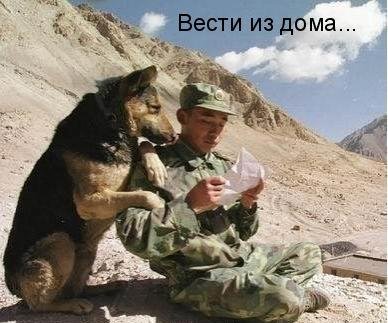 prikolnye_kartinki_zhivotnykh_s_podpisjami_70_foto_70.jpg