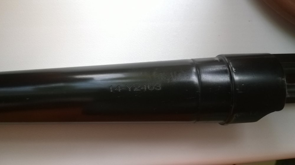 WP_20190301_009.jpg